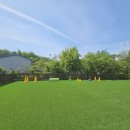 위드온 반려견 교육센터 이미지