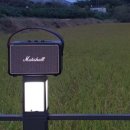 온리원스테이 이미지