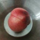 신대농장 이미지