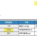 지인진복싱스포츠 이미지