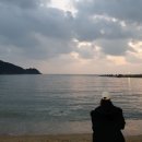 바다회센티