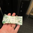 야간열차 | 부다페스트에서 프라하 야간열차 탑승 후기