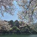 청산별곡 이미지