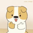 마켓44 네이버블로그