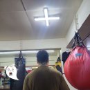 명지체육관 | 복싱 약 한달차 후기 (feat.명지복싱)