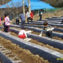 이레농장 이미지