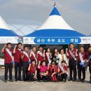 금산군청 광장 이미지