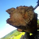 계룡문화예술의전당 이미지