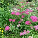 (주)마당 이미지