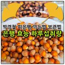 박경철농장 네이버블로그