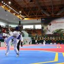 태백태권도 이미지