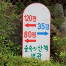 숲속의산책 펜션 이미지