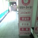 멍멍아준비땅 이미지