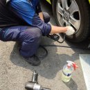 애니카랜드 대화점 이미지