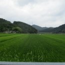 미천면-3 이미지