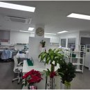 거목치과기공소 이미지