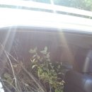 서광농장 이미지