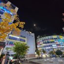 마피아피자앤펍 | 안양래미안메가트리아 맛집 마피아피자 안양피자앤펍