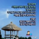 가수 박강수 포크 콘서트 이미지