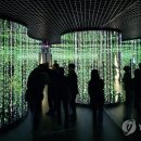 숲사랑(산불방지)홍보관 이미지