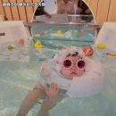 도봉-도봉-2075 | 서울 도봉구 키즈카페 베베쿠아 베이비스파카페 리뷰추천메뉴가격주차영업시간