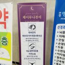 제이루나 이미지