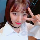 피노키오 팩토리 이미지