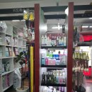 위드독스 샵 이미지