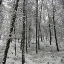 선포약수터 이미지