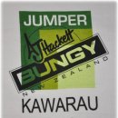 권혁준 번지 점프 [Extreme sports!] "Bungy Jump", New Zealand, Queenstwon, AJ Hackett !!! 이미지