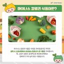 남지식품