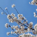 (주)센트디아 이미지