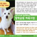 화창한 가을 행사안내 - 경기녹색당 소식지 제9호 이미지