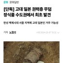 한성 백제시대 서울 지역에 고대 일본 권력층 무덤 장식품 발견 이미지