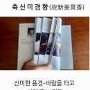 신미경사로다 이미지