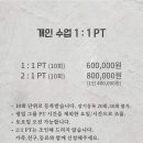 운동하는 코끼리 이미지