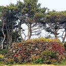 남원읍-17 이미지