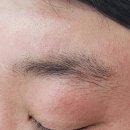 달빛브로우 이미지