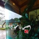 예당민물장어 | 공주 예당 장어 솔직 후기