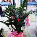 안성대로 이미지