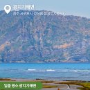 과랑과랑
