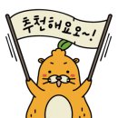 제주체험기획 이미지
