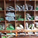 대나무한의원 이미지