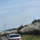 토산농장 이미지