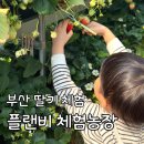 오공농장 이미지