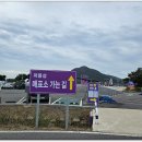 신안(퍼플섬), 함평국향을 찾아(2일차) 이미지