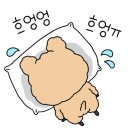 두두펫케어
