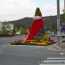 마산국화축제 전야제 행사장 인근을 다녀왔어요 이미지