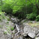 중봉민박 이미지