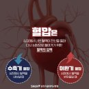 ◇ 혈압은 알면서 맥압은 모른다 ? ◇ 이미지